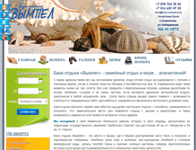Tablet Screenshot of baza-vimpel.com